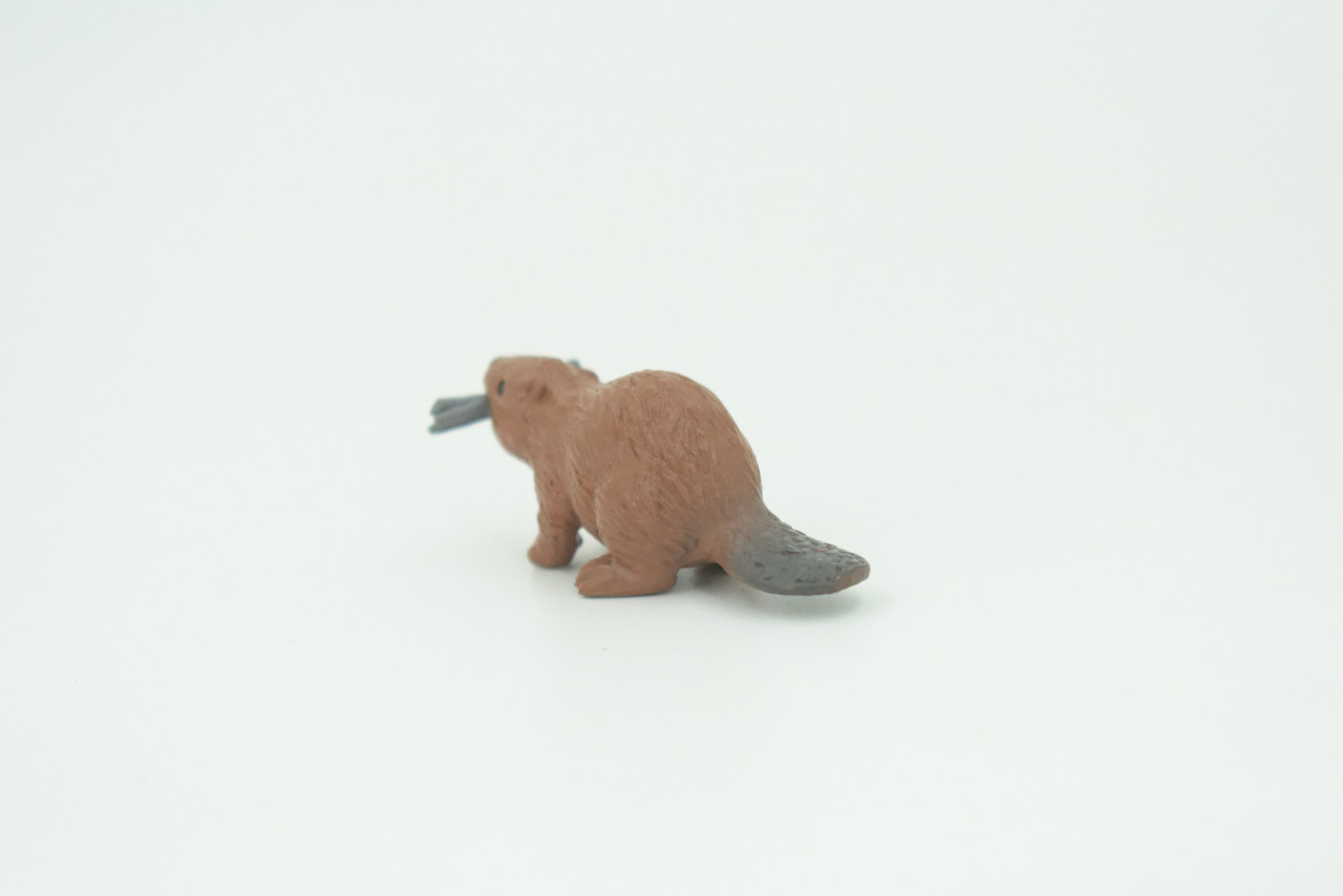 Beaver, Reddish Brown Castor, Very Nice Rubber Animal, Educational, Realistic Figure, Lifelike Model, Figurine, Toy, Kids,  Gift,    2 1/4 Inches.   F3538 B138