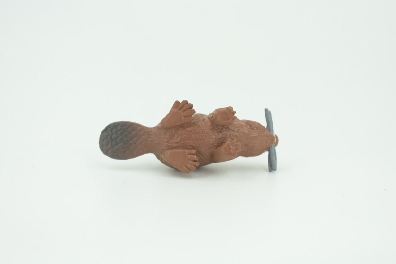 Beaver, Reddish Brown Castor, Very Nice Rubber Animal, Educational, Realistic Figure, Lifelike Model, Figurine, Toy, Kids,  Gift,    2 1/4 Inches.   F3538 B138