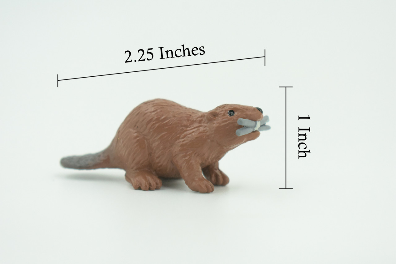 Beaver, Reddish Brown Castor, Very Nice Rubber Animal, Educational, Realistic Figure, Lifelike Model, Figurine, Toy, Kids,  Gift,    2 1/4 Inches.   F3538 B138