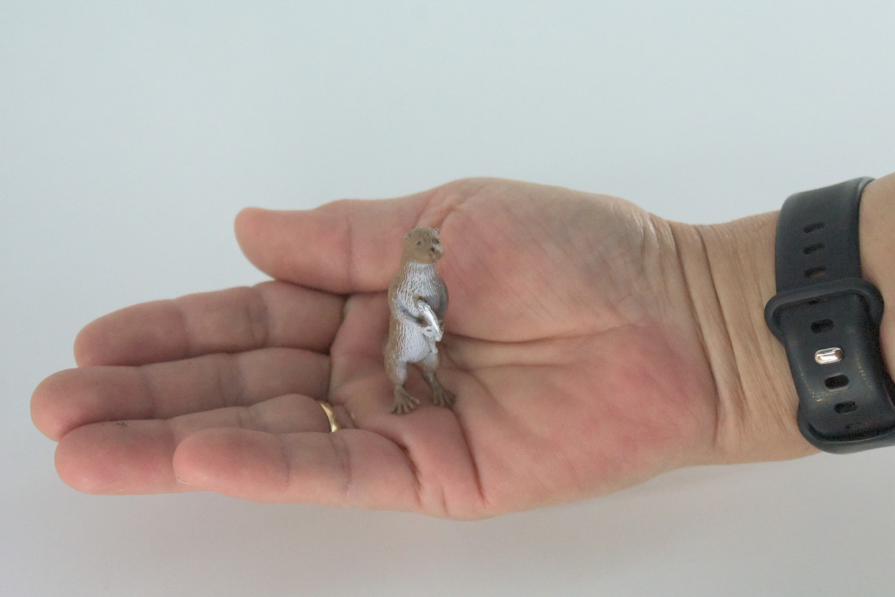 River Otter, With Fish, Very Nice Rubber Animal, Educational, Hand Painted, Realistic Figure, Lifelike Design, Toy, Kids, Gift,     2  1/2 Inches.    SF73 B138