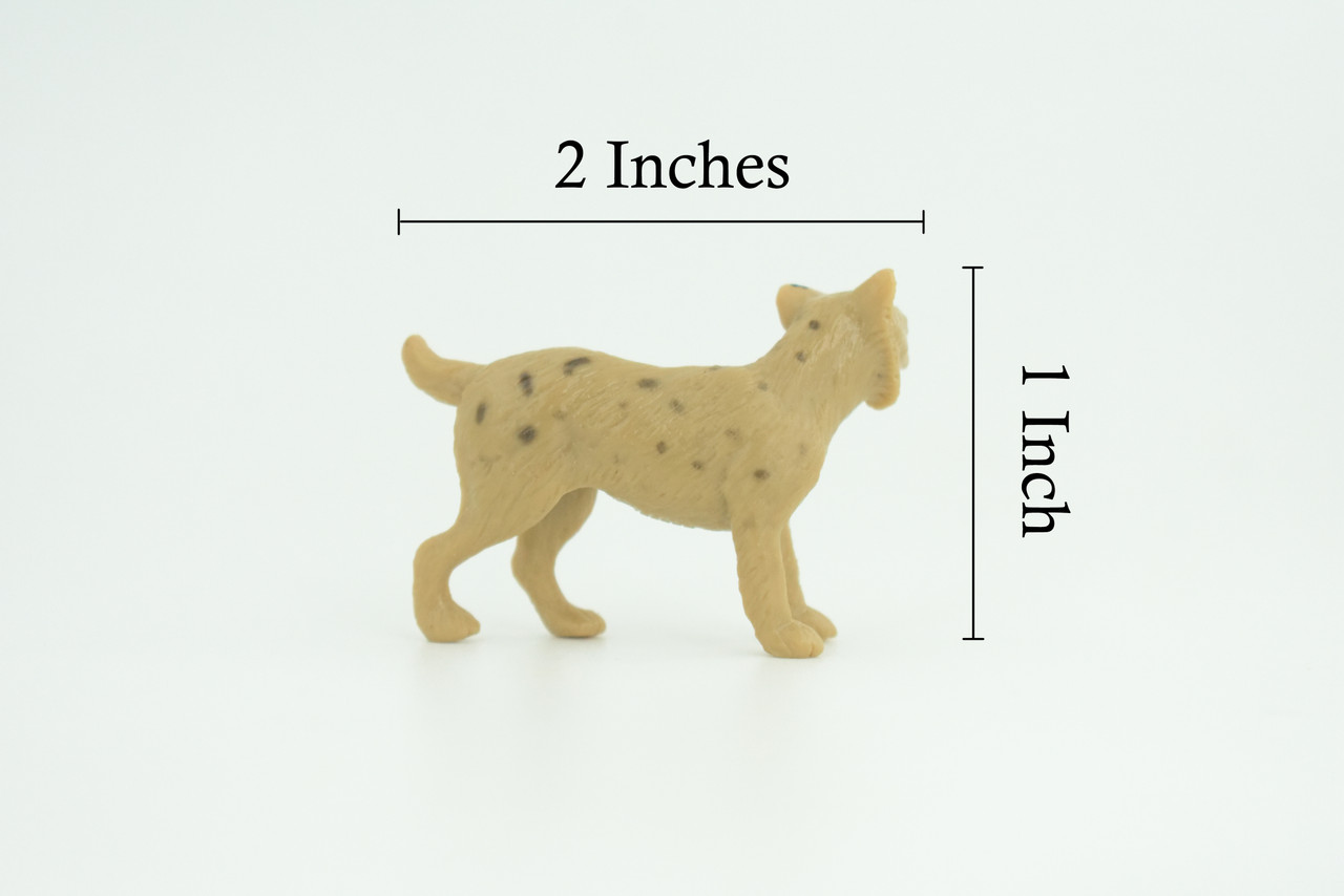 Bobcat, Cub, Nice Rubber Animal, Educational, Realistic Cat, Hand Painted, Figure, Lifelike Model, Figurine, Replica, Gift,     2 Inches      SF74 B103