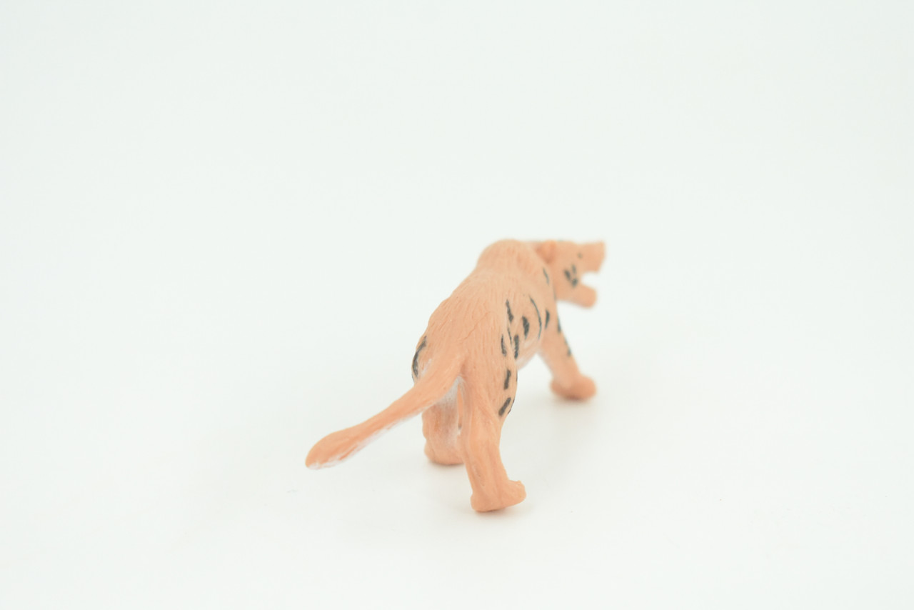 Andrewsarchus, Ancient Mammal, Educational, Realistic, Diorama Figure, Lifelike Rubber Model, Gift,   2 1/2 Inches.    SF82 B224