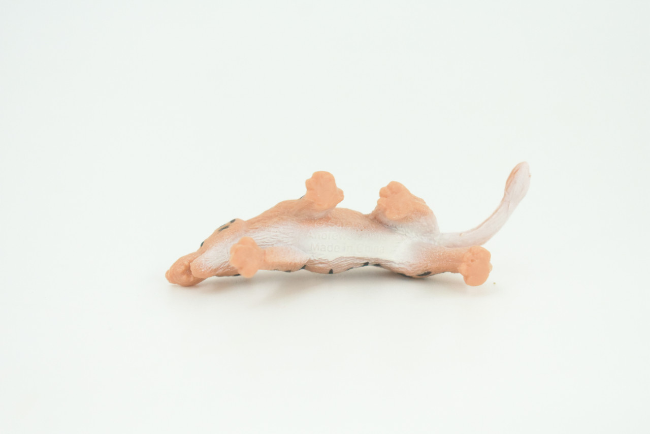 Andrewsarchus, Ancient Mammal, Educational, Realistic, Diorama Figure, Lifelike Rubber Model, Gift,   2 1/2 Inches.    SF82 B224
