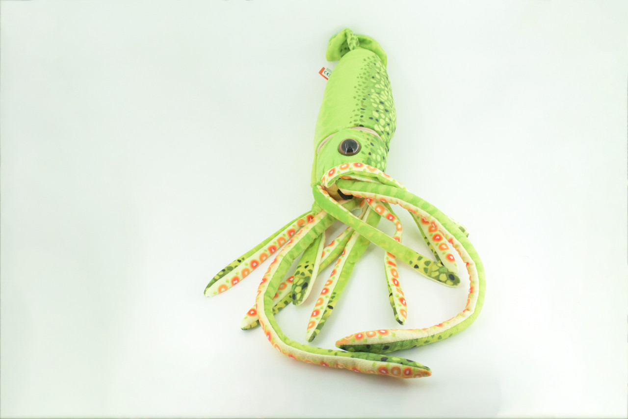 Squid, Green, Ocean, Marine, Very Nice Plush, Stuffed Animal, Toy, Kids, Realistic Figure, Educational, Gift,    28 inches long     F3401 BB317