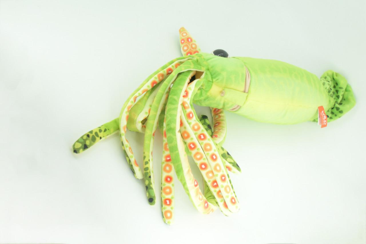 Squid, Green, Ocean, Marine, Very Nice Plush, Stuffed Animal, Toy, Kids, Realistic Figure, Educational, Gift,    28 inches long     F3401 BB317