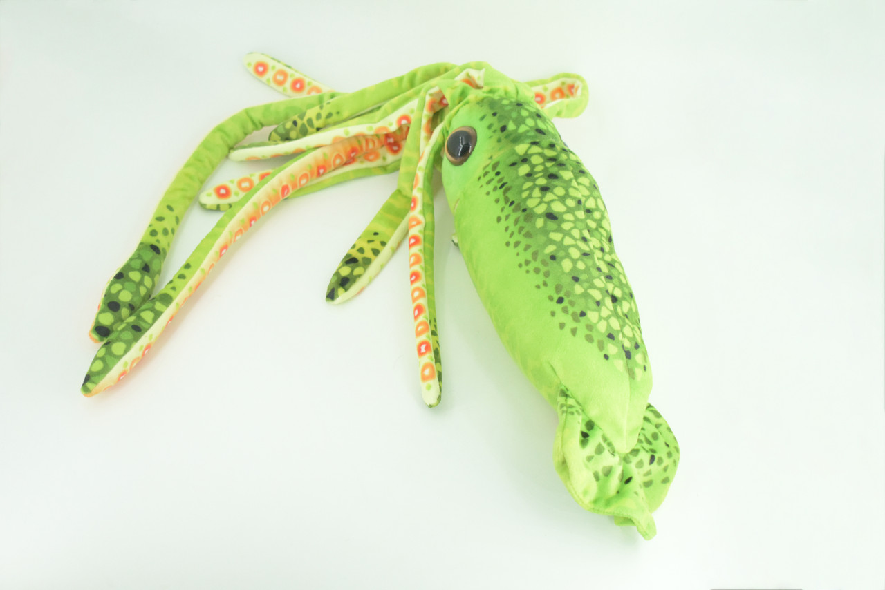 Squid, Green, Ocean, Marine, Very Nice Plush, Stuffed Animal, Toy, Kids, Realistic Figure, Educational, Gift,    28 inches long     F3401 BB317