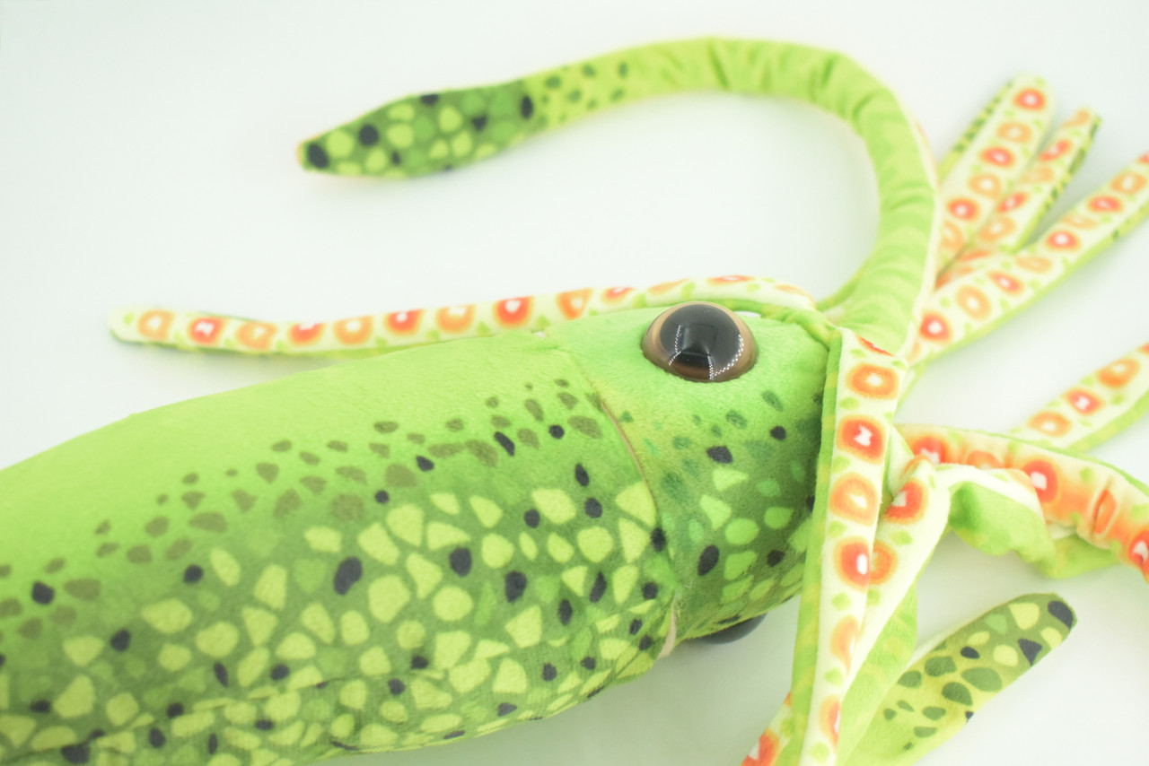 Squid, Green, Ocean, Marine, Very Nice Plush, Stuffed Animal, Toy, Kids, Realistic Figure, Educational, Gift,    28 inches long     F3401 BB317