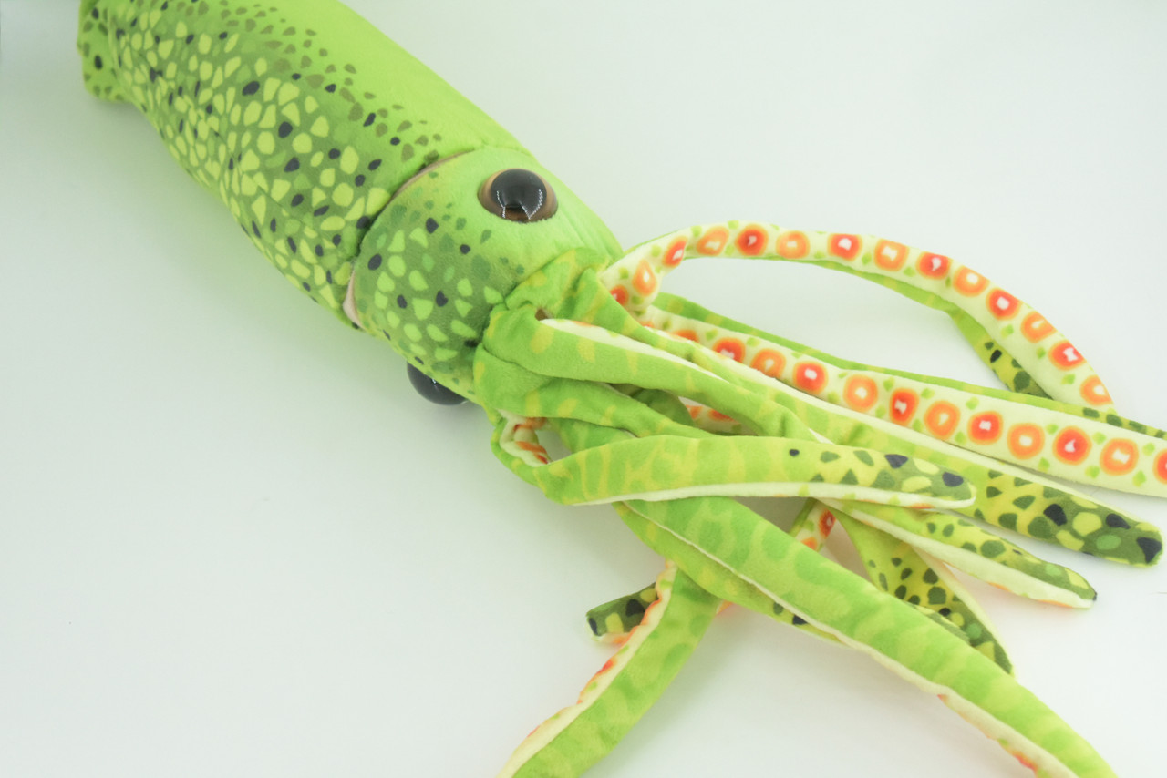 Squid, Green, Ocean, Marine, Very Nice Plush, Stuffed Animal, Toy, Kids, Realistic Figure, Educational, Gift,    28 inches long     F3401 BB317