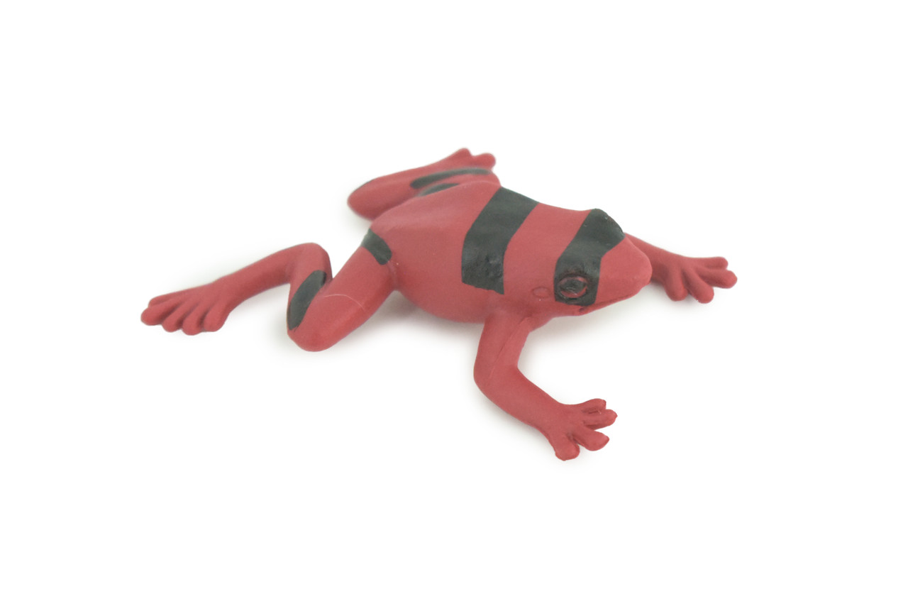 Red and black striped frog, Hand Painted, Educational, Rubber Amphibian, Realistic Figure, Lifelike, Toys, Kids, Gift, 2 Inches. CWG312 B48 