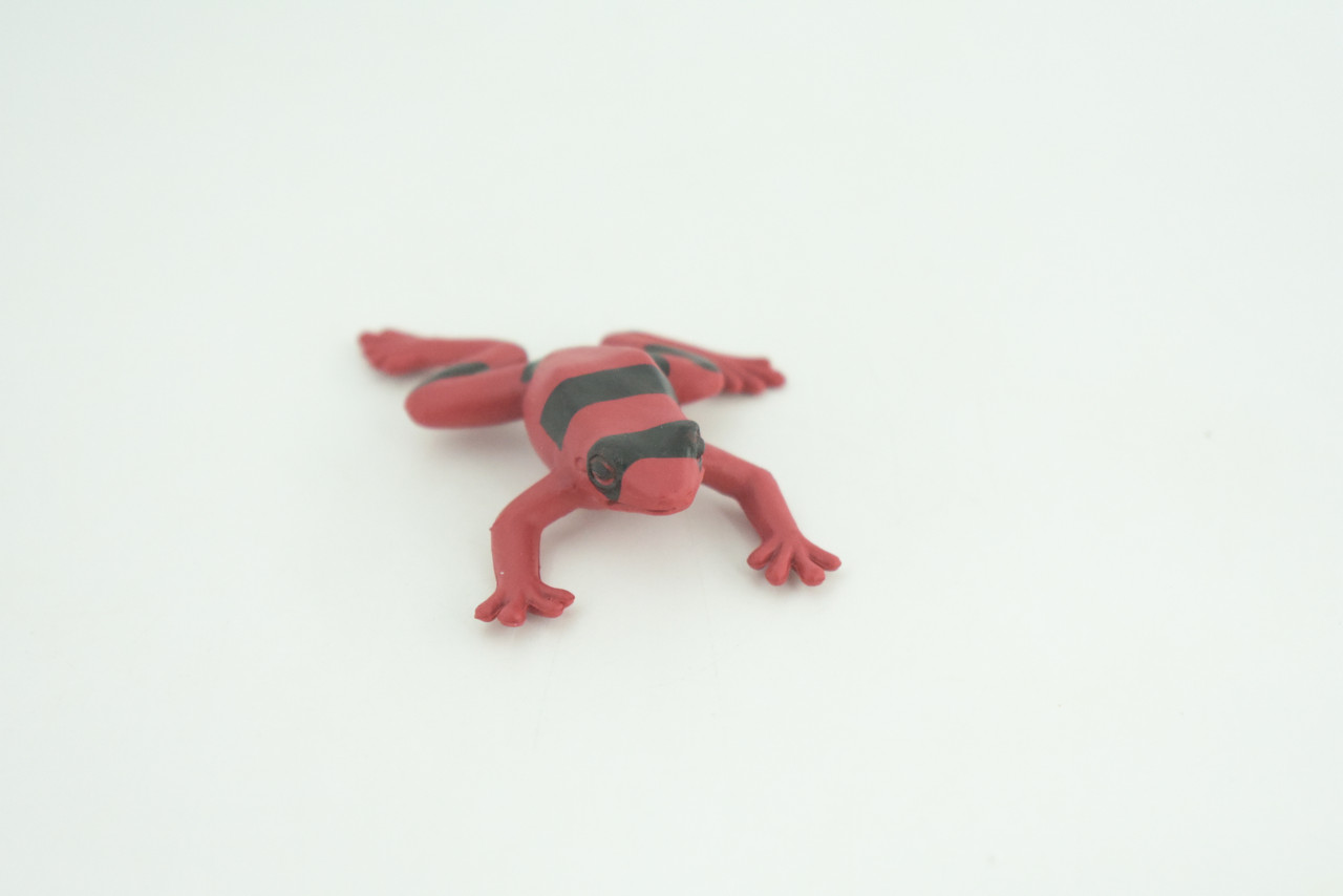 Red and black striped frog, Hand Painted, Educational, Rubber Amphibian, Realistic Figure, Lifelike, Toys, Kids, Gift,      2 Inches.  CWG312 B48  
