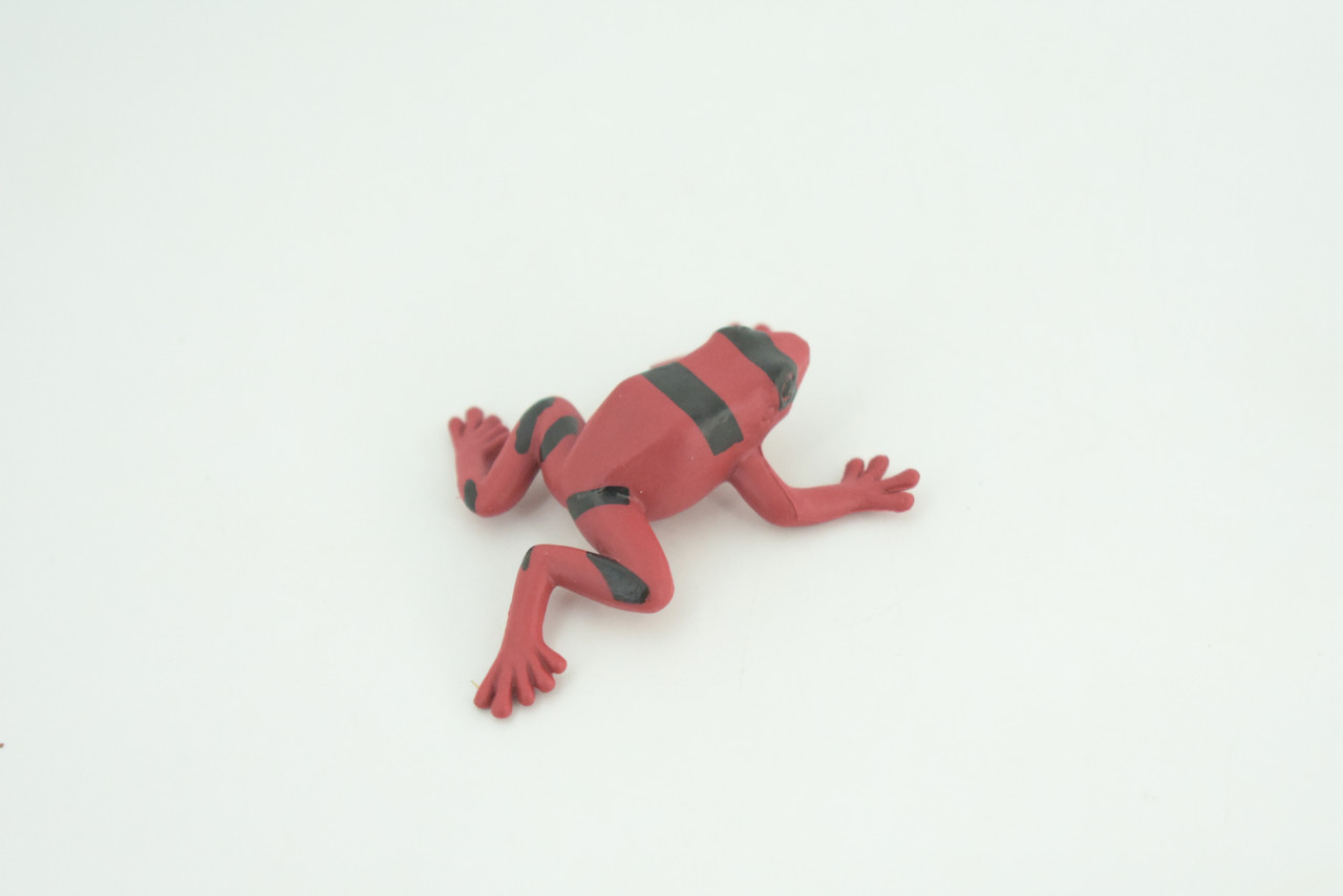 Red and black striped frog, Hand Painted, Educational, Rubber Amphibian, Realistic Figure, Lifelike, Toys, Kids, Gift,      2 Inches.  CWG312 B48  