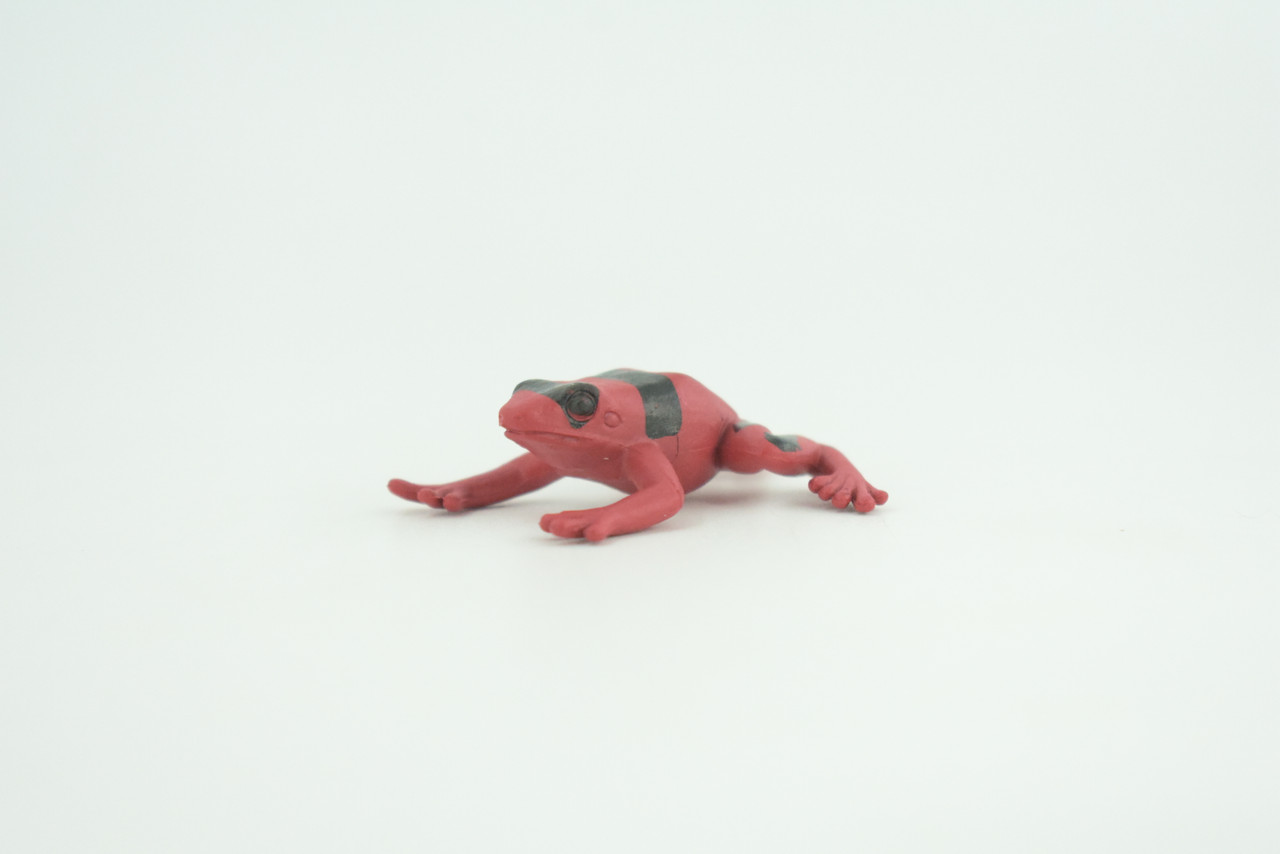 Red and black striped frog, Hand Painted, Educational, Rubber Amphibian, Realistic Figure, Lifelike, Toys, Kids, Gift,      2 Inches.  CWG312 B48  