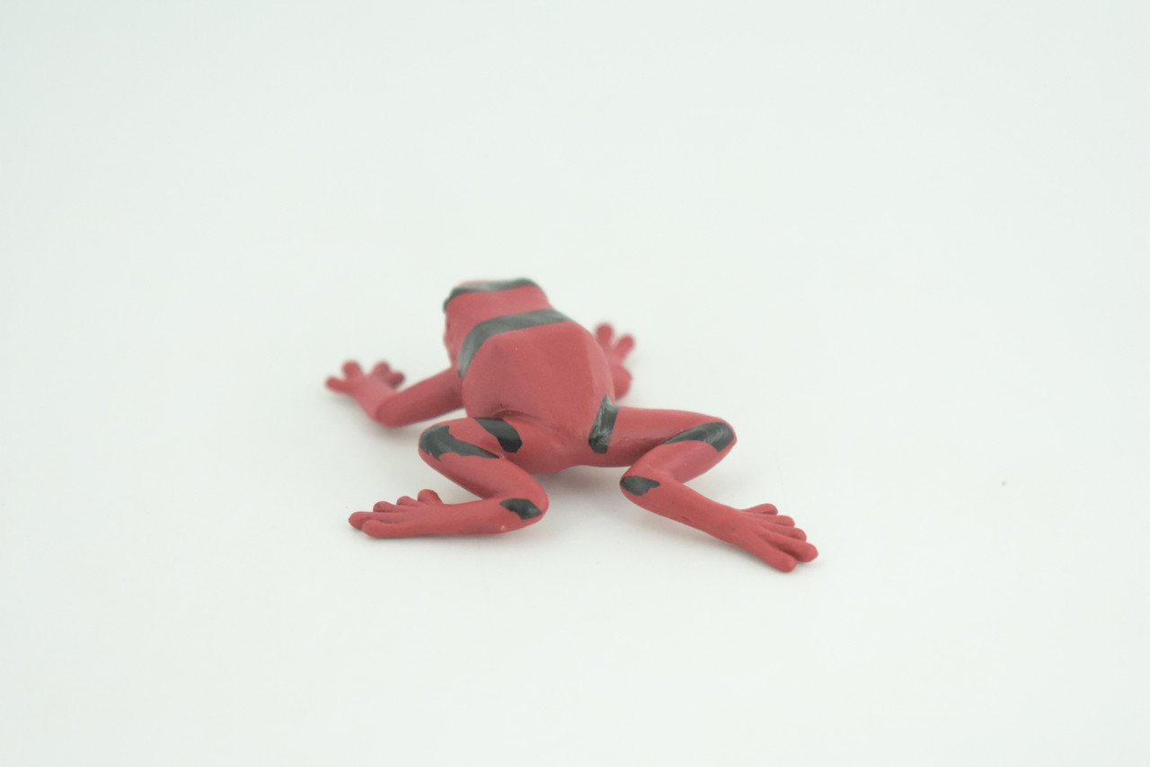 Red and black striped frog, Hand Painted, Educational, Rubber Amphibian, Realistic Figure, Lifelike, Toys, Kids, Gift,      2 Inches.  CWG312 B48  