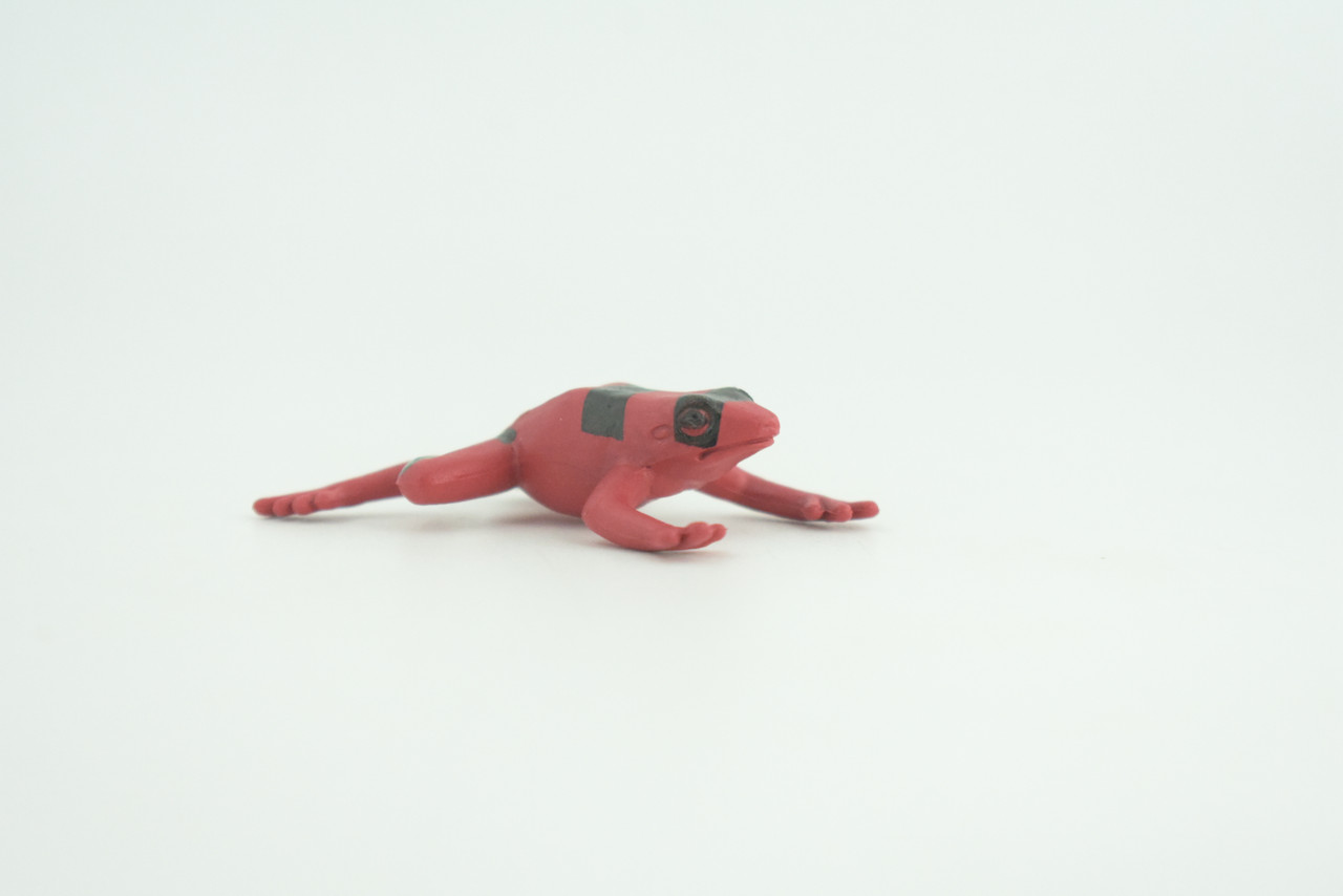 Red and black striped frog, Hand Painted, Educational, Rubber Amphibian, Realistic Figure, Lifelike, Toys, Kids, Gift,      2 Inches.  CWG312 B48  