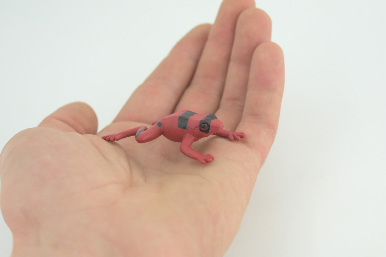Red and black striped frog, Hand Painted, Educational, Rubber Amphibian, Realistic Figure, Lifelike, Toys, Kids, Gift, 2 Inches. CWG312 B48 