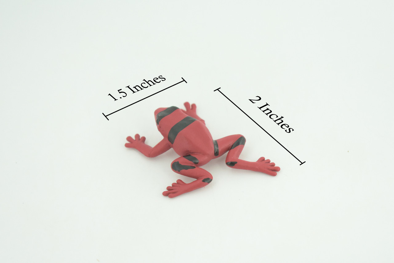 Red and black striped frog, Hand Painted, Educational, Rubber Amphibian, Realistic Figure, Lifelike, Toys, Kids, Gift, 2 Inches. CWG312 B48 