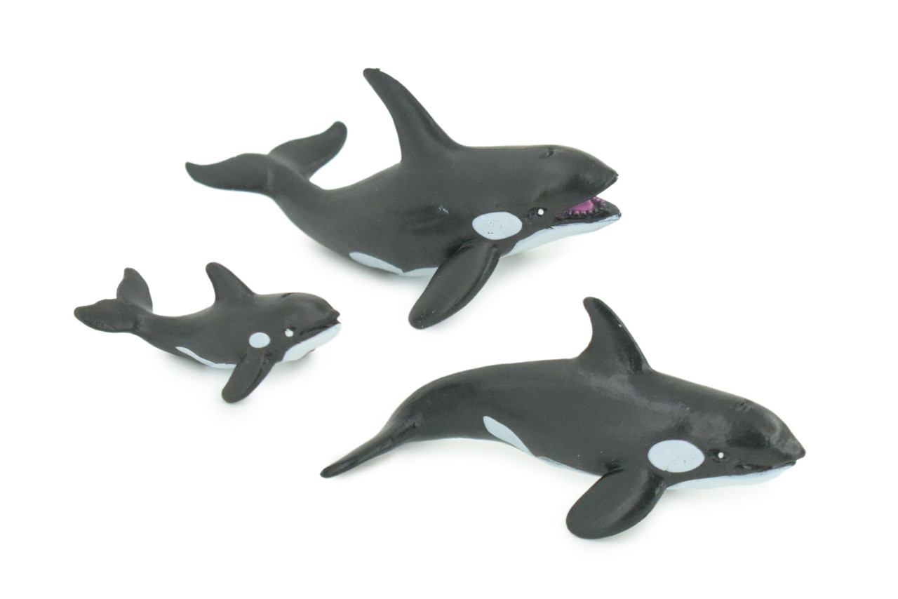 Orca Family, Killer Whales, Set of 3, Very Nice Rubber Design, Educational, Realistic Figure, Lifelike, Replica,Toy, Kids, Gift, 4 Inches. F3916 B619