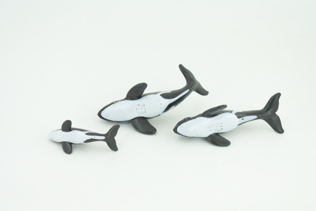 Orca Family, Killer Whales, Set of 3, Very Nice Rubber Design, Educational, Realistic Figure, Lifelike, Replica,Toy, Kids, Gift,   4 Inches.   F3916 B619