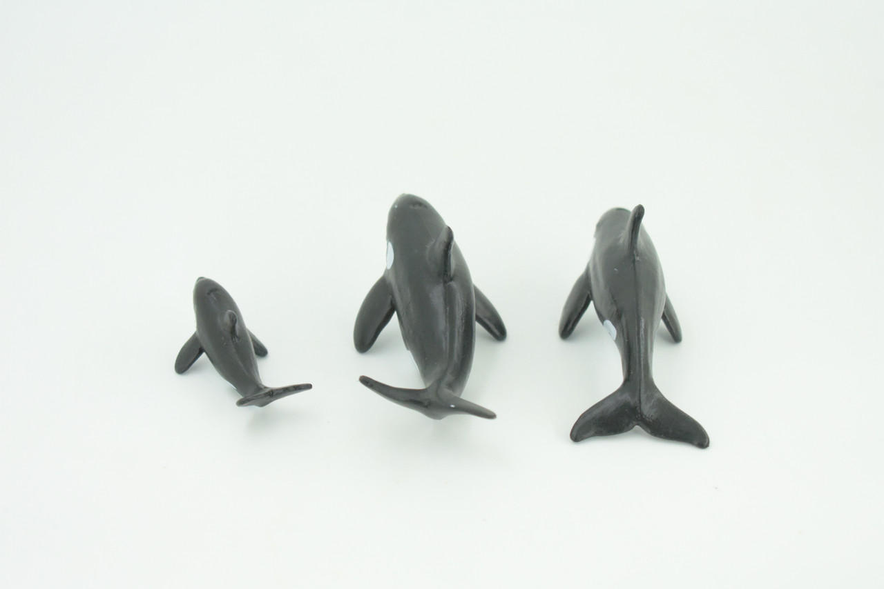Orca Family, Killer Whales, Set of 3, Very Nice Rubber Design, Educational, Realistic Figure, Lifelike, Replica,Toy, Kids, Gift,   4 Inches.   F3916 B619