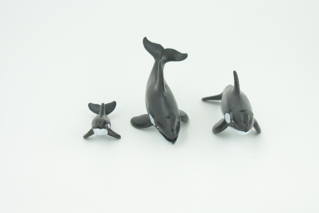 Orca Family, Killer Whales, Set of 3, Very Nice Rubber Design, Educational, Realistic Figure, Lifelike, Replica,Toy, Kids, Gift,   4 Inches.   F3916 B619