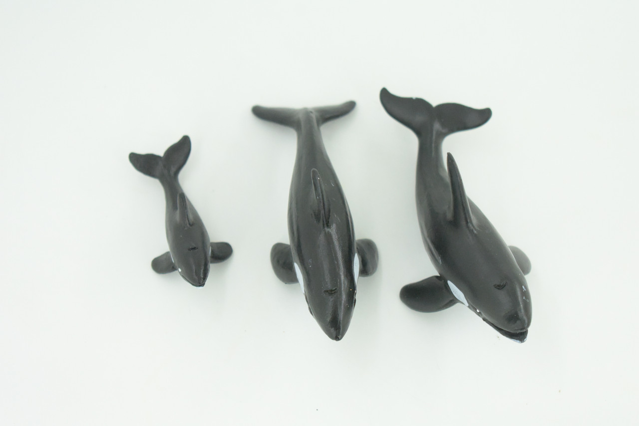 Orca Family, Killer Whales, Set of 3, Very Nice Rubber Design, Educational, Realistic Figure, Lifelike, Replica,Toy, Kids, Gift,   4 Inches.   F3916 B619