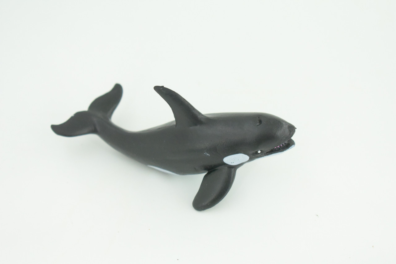 Orca Family, Killer Whales, Set of 3, Very Nice Rubber Design, Educational, Realistic Figure, Lifelike, Replica,Toy, Kids, Gift,   4 Inches.   F3916 B619