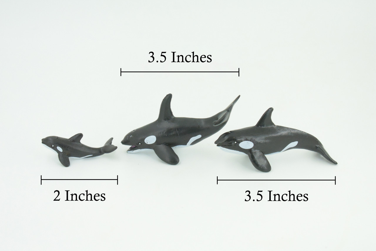 Orca Family, Killer Whales, Set of 3, Very Nice Rubber Design, Educational, Realistic Figure, Lifelike, Replica,Toy, Kids, Gift, 4 Inches. F3916 B619