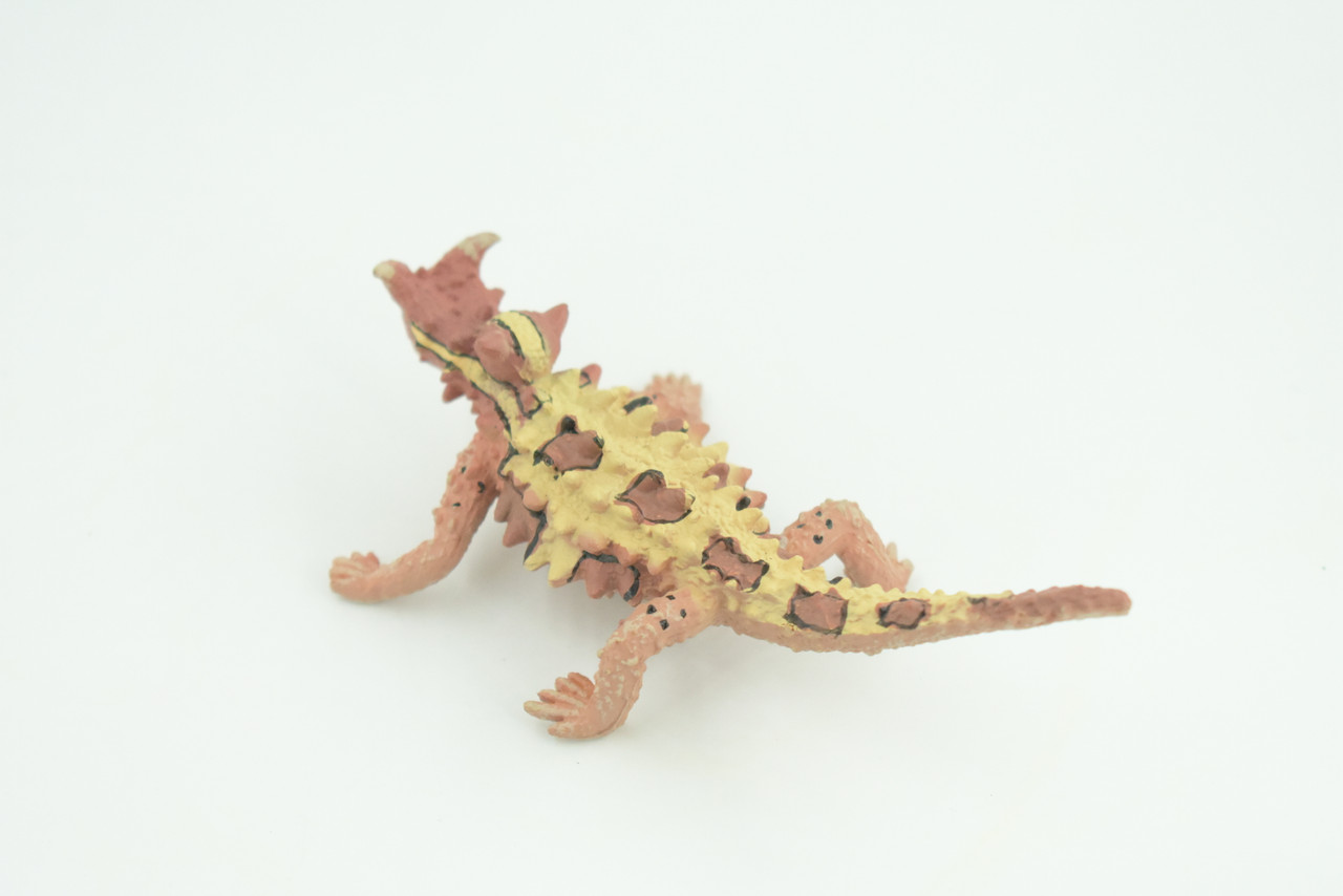 Thorny Dragon, Devil Lizard, Museum Quality, Educational, Hand Painted, Rubber Reptile, Toys, Kids, Gift, 4 1/2 Inches. CH730 BB184