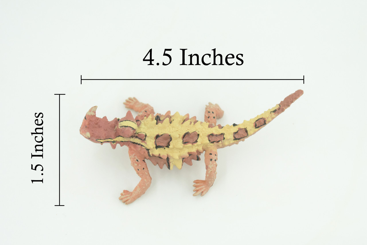 Thorny Dragon, Devil Lizard, Museum Quality, Educational, Hand Painted, Rubber Reptile, Toys, Kids, Gift, 4 1/2 Inches. CH730 BB184
