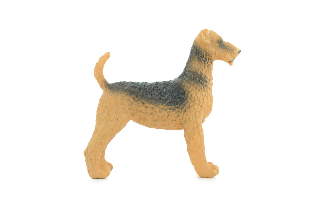 Airedale Dog, Rubber Canine, Hand Painted, Educational, Realistic, K9, Figure, Model, Replica, Toys, Kids, Gift, 3 Inches. CH733 BB184 