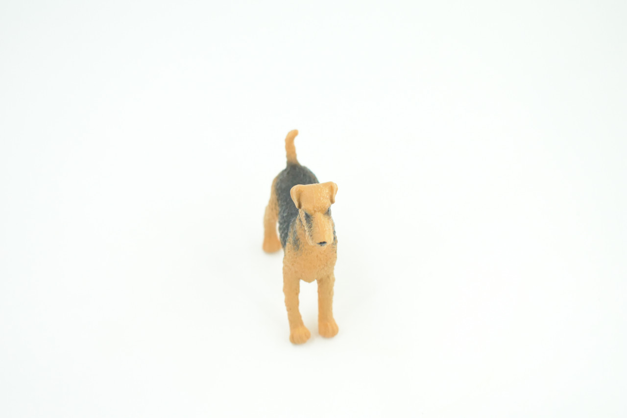Airedale Dog, Rubber Canine, Hand Painted, Educational, Realistic,  K9, Figure, Model, Replica, Toys, Kids, Gift,    3 Inches. CH733 BB184