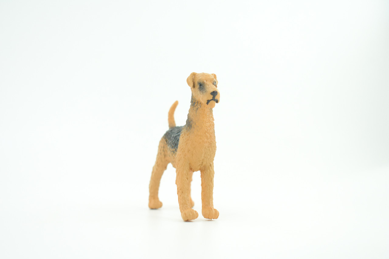 Airedale Dog, Rubber Canine, Hand Painted, Educational, Realistic,  K9, Figure, Model, Replica, Toys, Kids, Gift,    3 Inches. CH733 BB184