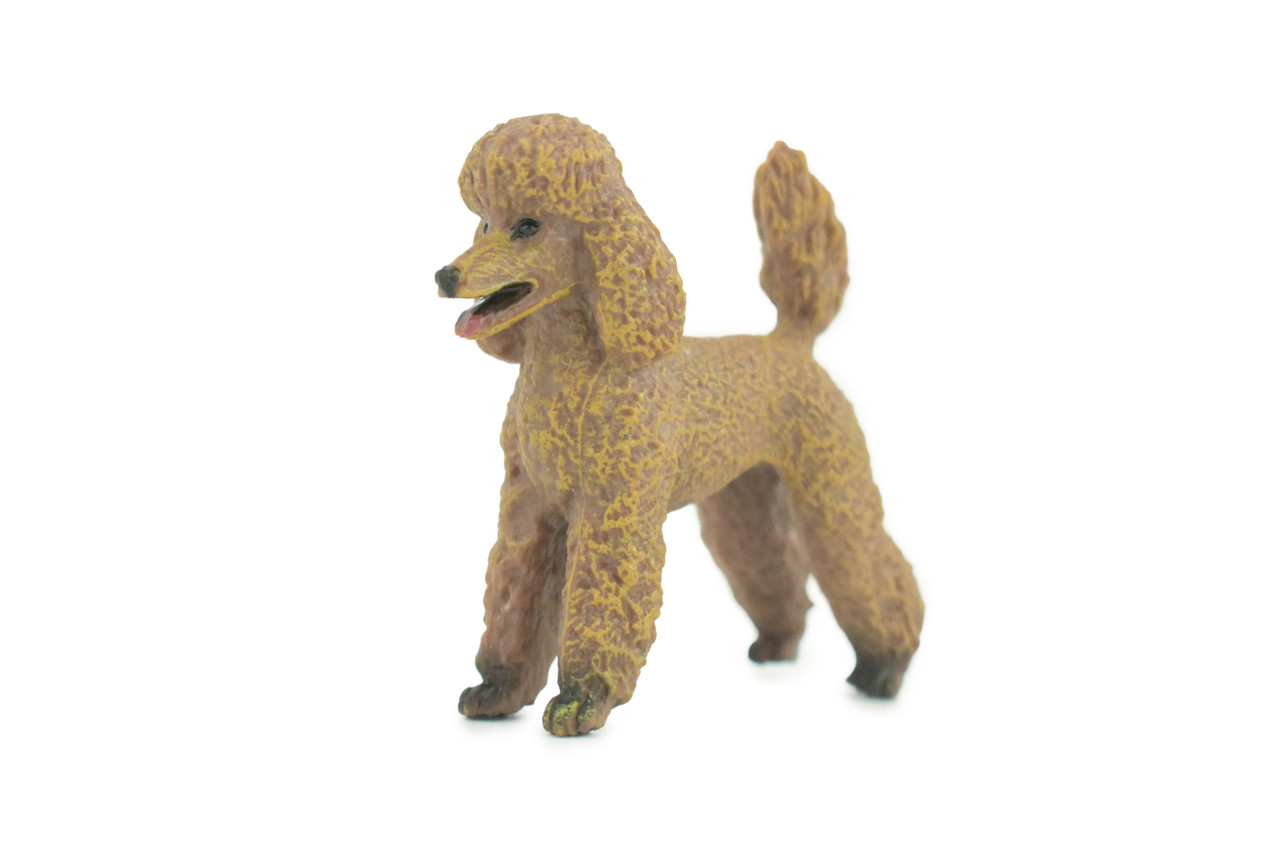 Poodle Dog, Rubber Canine, Hand Painted, Educational, Realistic, K9, Figure, Model, Replica, Toys, Kids, Gift, 3 Inches. CH734 BB184