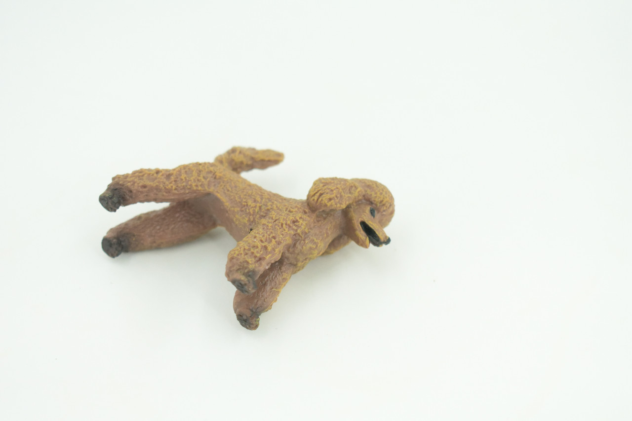 Poodle Dog, Rubber Canine, Hand Painted, Educational, Realistic,  K9, Figure, Model, Replica, Toys, Kids, Gift,    3 Inches.   CH734 BB184