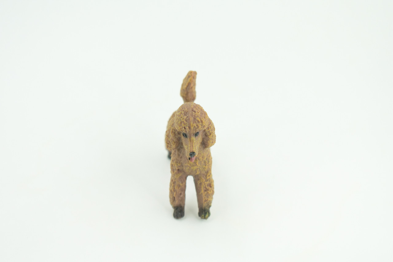 Poodle Dog, Rubber Canine, Hand Painted, Educational, Realistic,  K9, Figure, Model, Replica, Toys, Kids, Gift,    3 Inches.   CH734 BB184