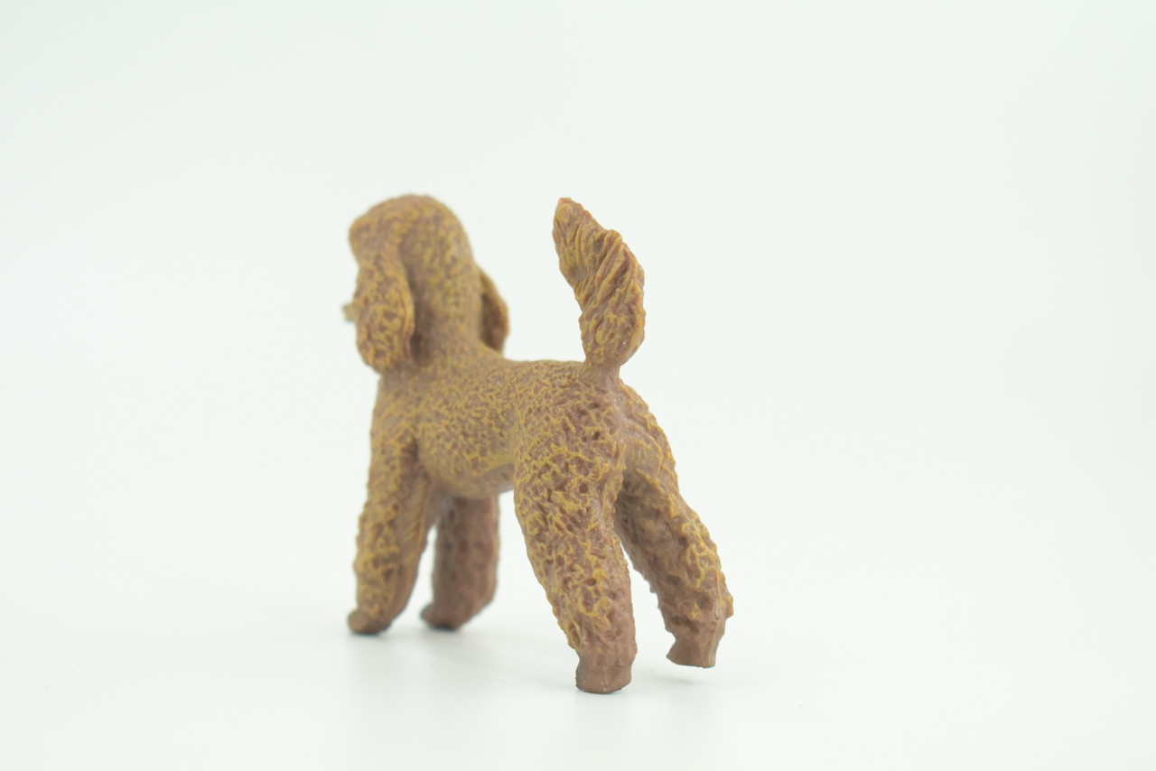 Poodle Dog, Rubber Canine, Hand Painted, Educational, Realistic,  K9, Figure, Model, Replica, Toys, Kids, Gift,    3 Inches.   CH734 BB184