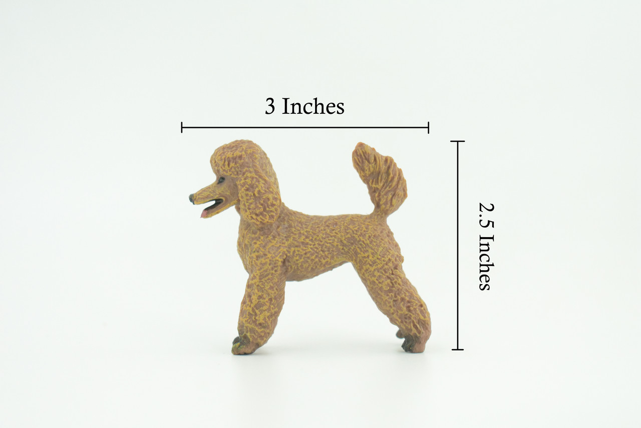 Poodle Dog, Rubber Canine, Hand Painted, Educational, Realistic, K9, Figure, Model, Replica, Toys, Kids, Gift, 3 Inches. CH734 BB184