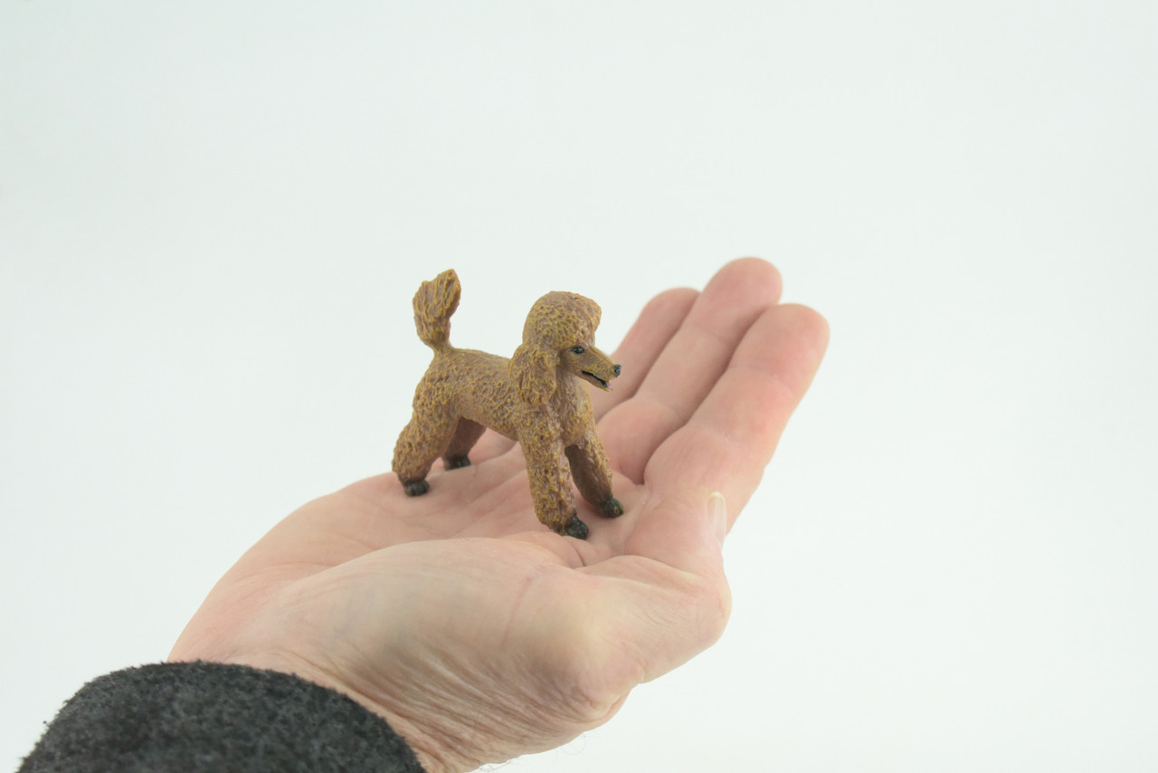 Poodle Dog, Rubber Canine, Hand Painted, Educational, Realistic, K9, Figure, Model, Replica, Toys, Kids, Gift, 3 Inches. CH734 BB184