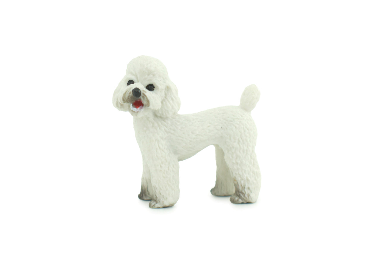 Toy Poodle Dog, Rubber Canine, Hand Painted, Educational, Realistic, K9, Figure, Model, Replica, Toys, Kids, Gift, 1 3/4 Inches. CH735 BB184