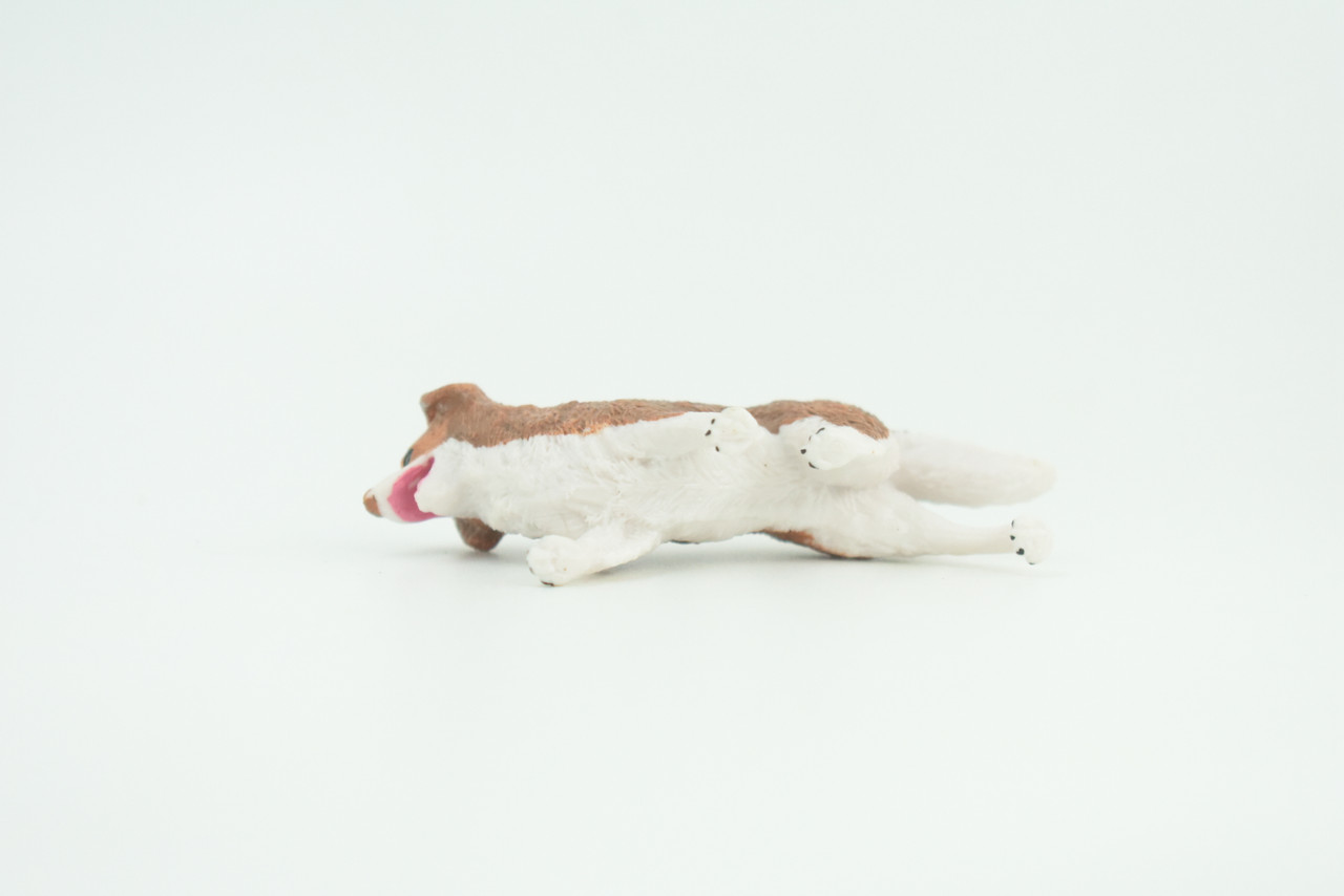 Australian Shepherd Dog, Rubber Canine, Hand Painted, Educational, Realistic, K9, Figure, Model, Replica, Toys, Kids, Gift,   3 Inches.  CH736 BB184