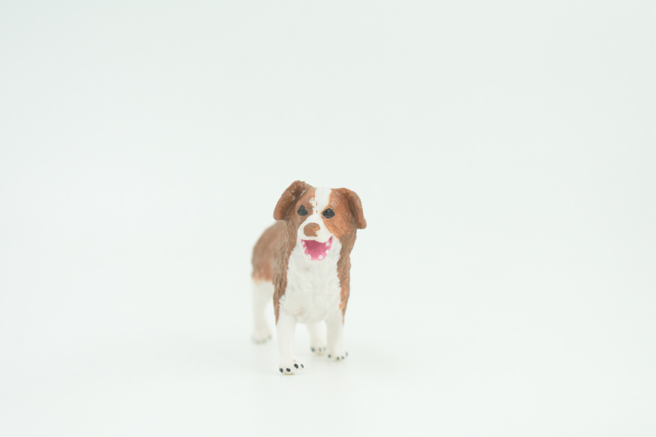 Australian Shepherd Dog, Rubber Canine, Hand Painted, Educational, Realistic, K9, Figure, Model, Replica, Toys, Kids, Gift,   3 Inches.  CH736 BB184