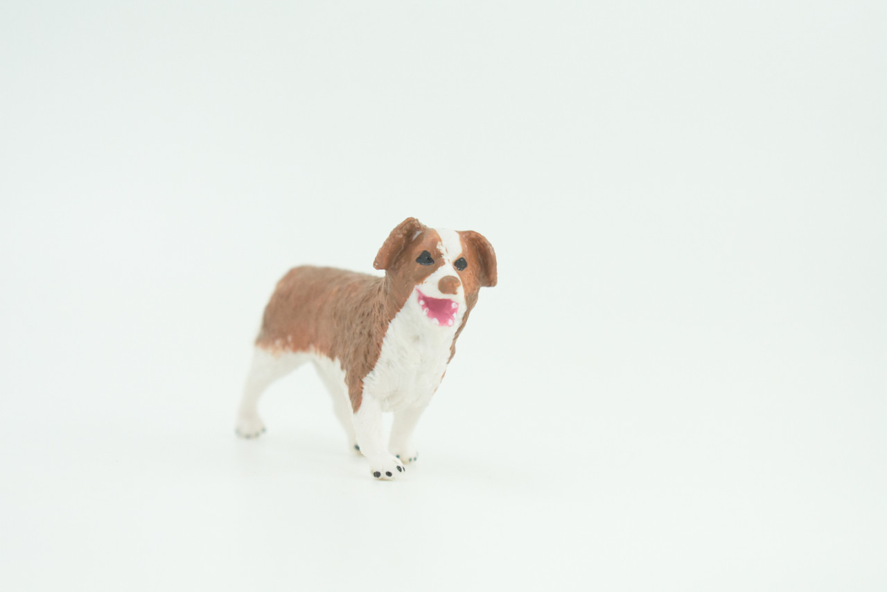 Australian Shepherd Dog, Rubber Canine, Hand Painted, Educational, Realistic, K9, Figure, Model, Replica, Toys, Kids, Gift,   3 Inches.  CH736 BB184