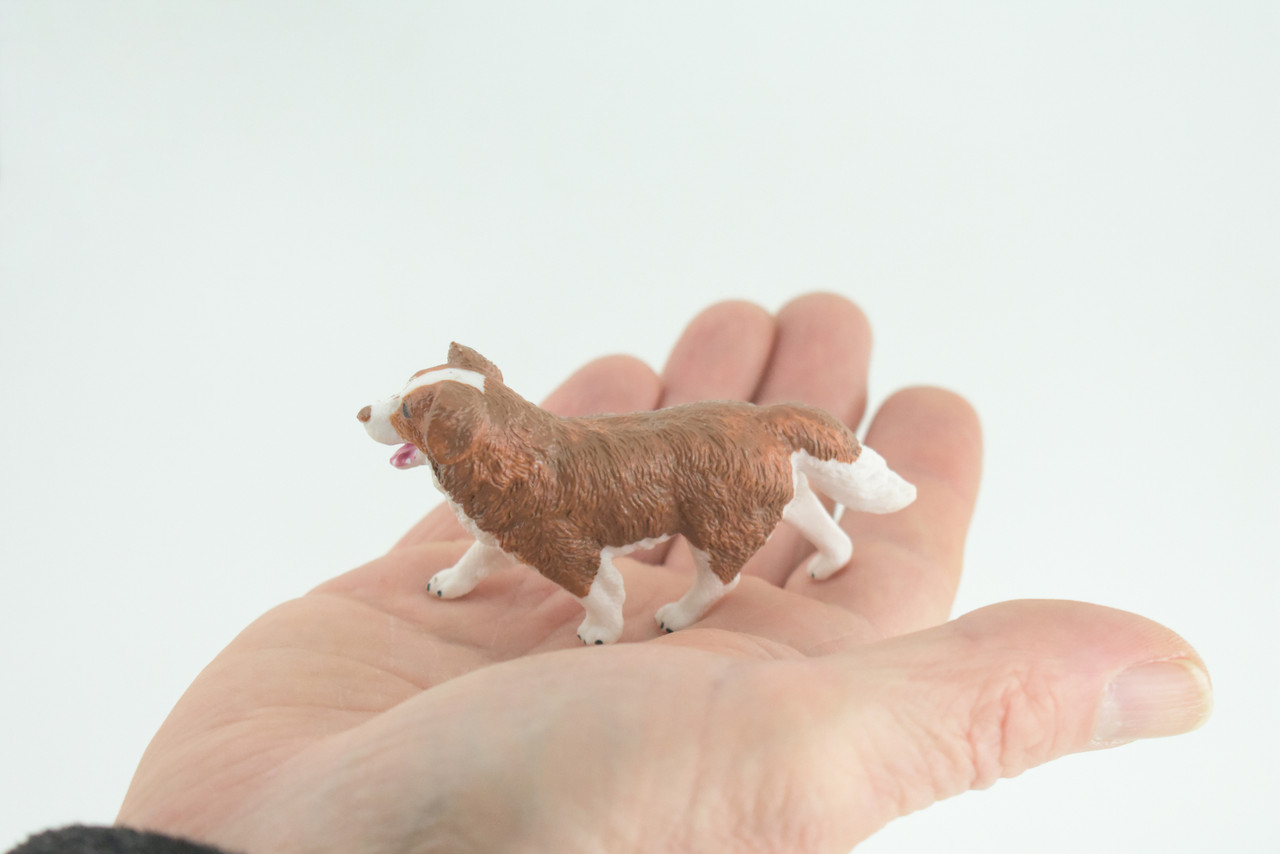 Australian Shepherd Dog, Rubber Canine, Hand Painted, Educational, Realistic, K9, Figure, Model, Replica, Toys, Kids, Gift, 3 Inches. CH736 BB184