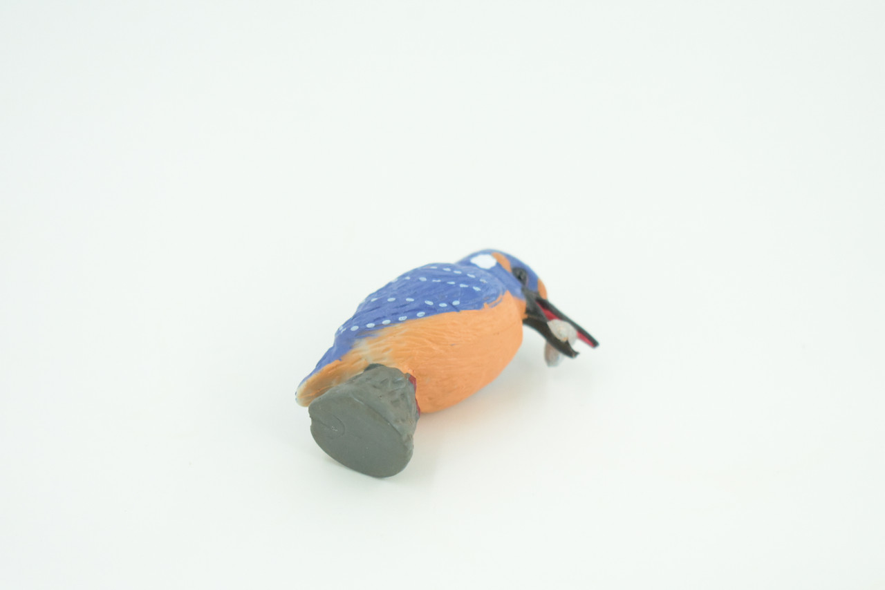 Kingfisher, With Fish in Beak, Museum Quality, Educational, Hand Painted, Rubber Bird, Realistic, Toys, Kids, Gift,    2 Inches.   CH738 BB184