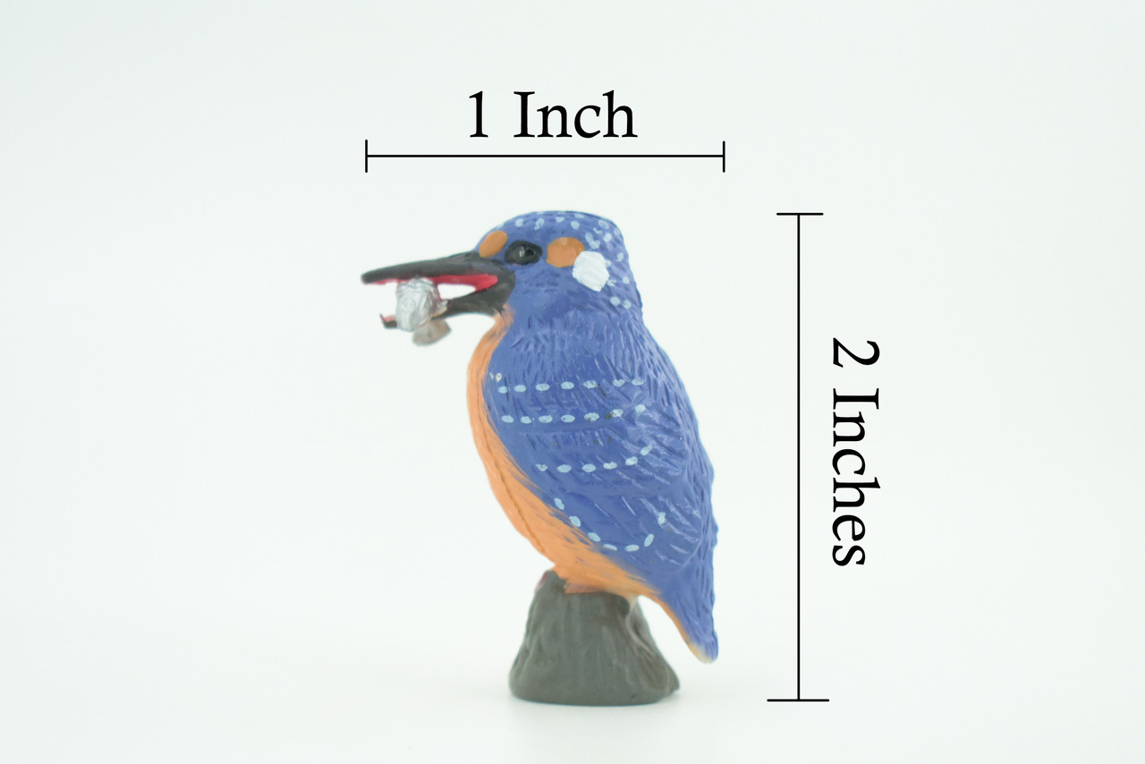 Kingfisher, With Fish in Beak, Museum Quality, Educational, Hand Painted, Rubber Bird, Realistic, Toys, Kids, Gift, 2 Inches. CH738 BB184