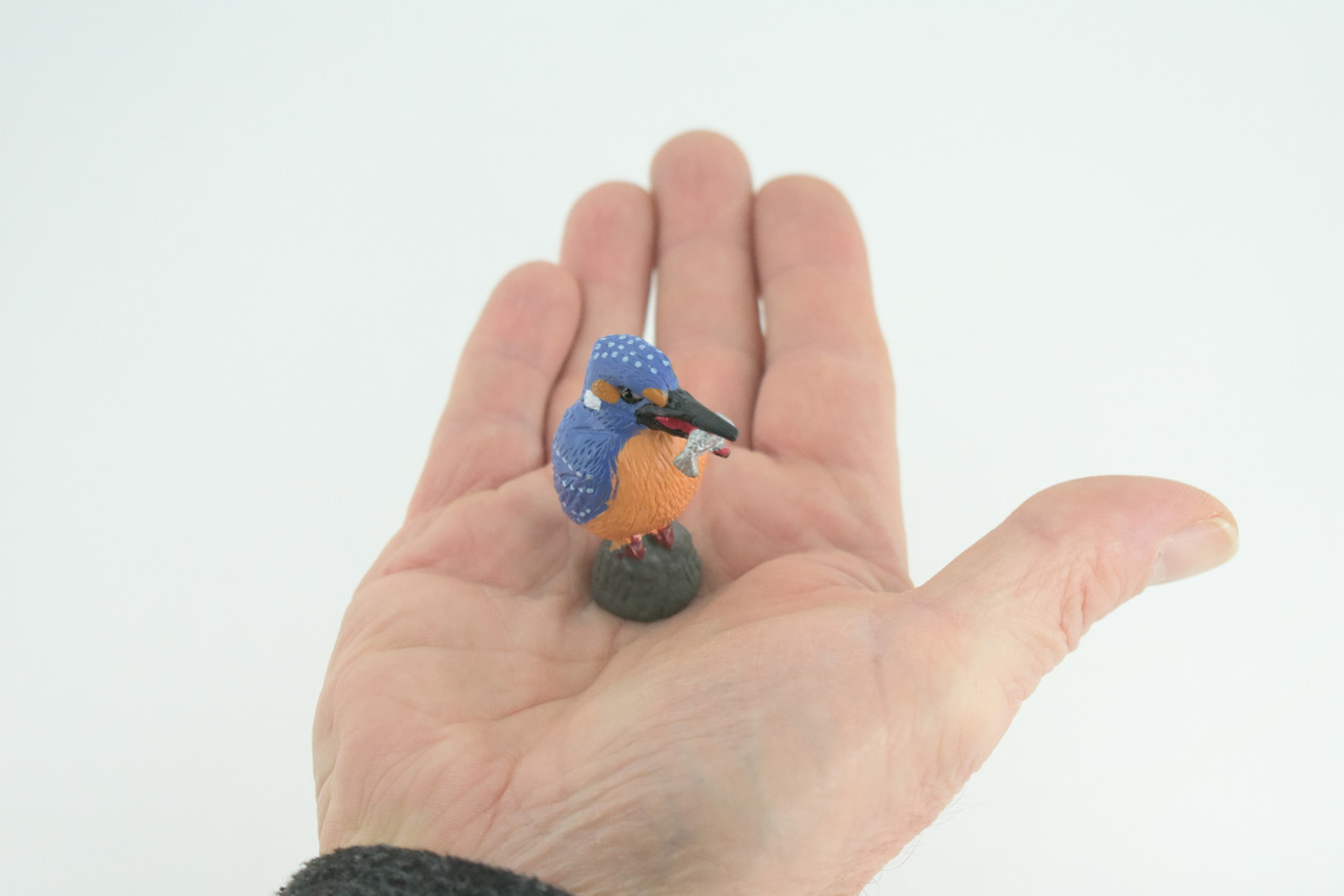 Kingfisher, With Fish in Beak, Museum Quality, Educational, Hand Painted, Rubber Bird, Realistic, Toys, Kids, Gift, 2 Inches. CH738 BB184