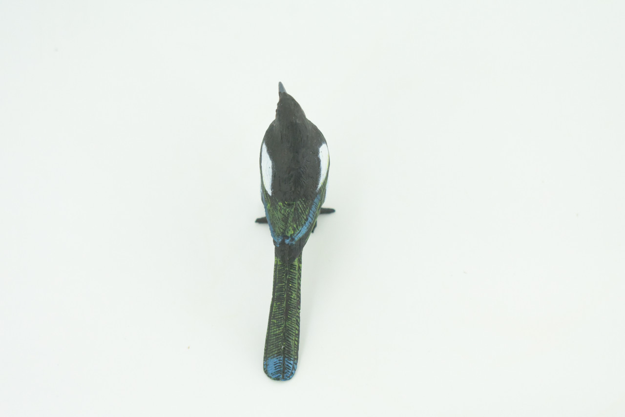 Magpie, Museum Quality, Educational, Hand Painted, Rubber Bird, Realistic, Toys, Kids, Gift,    3 Inches.   CH739 BB184