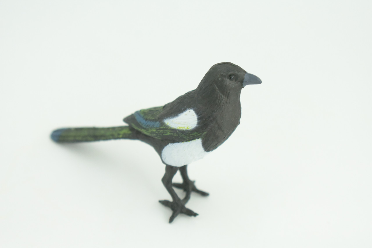 Magpie, Museum Quality, Educational, Hand Painted, Rubber Bird, Realistic, Toys, Kids, Gift,    3 Inches.   CH739 BB184