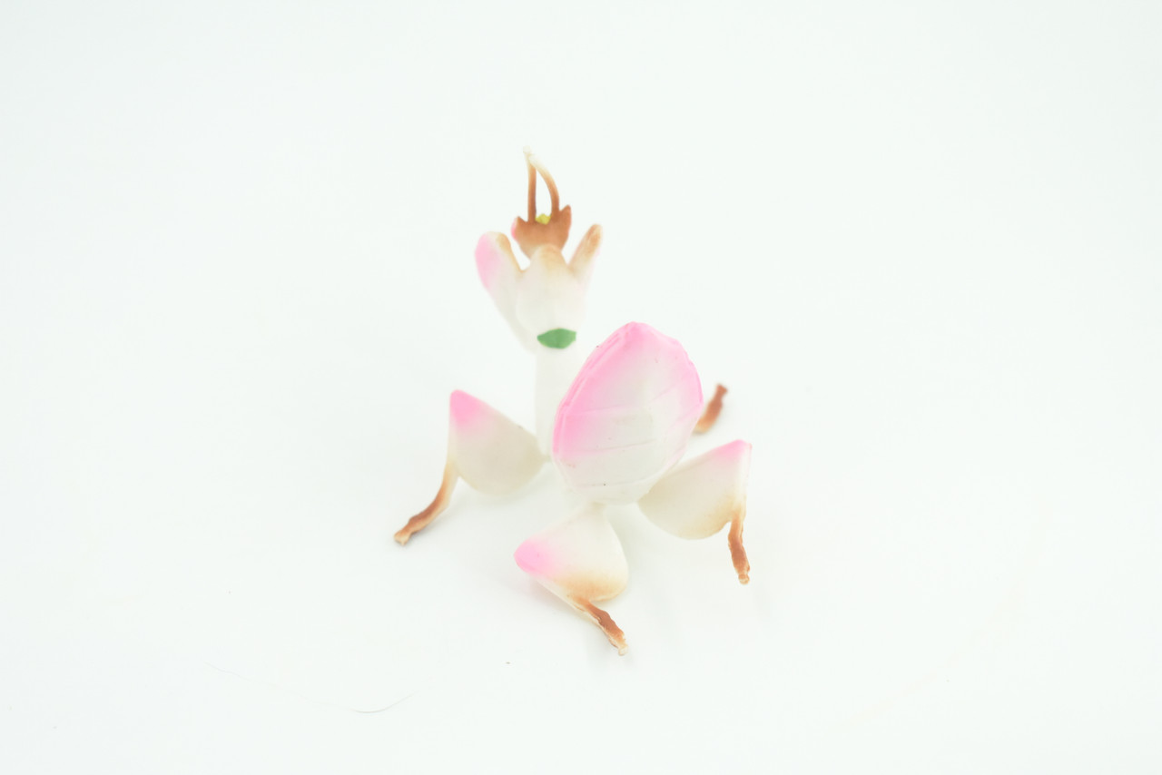 Orchid Mantis, Educational, Hand Painted, Museum Quality, Realistic Rubber Insect, Model, Toy, Kids, Gift,  2 1/2 Inches.  CH743 BB184 