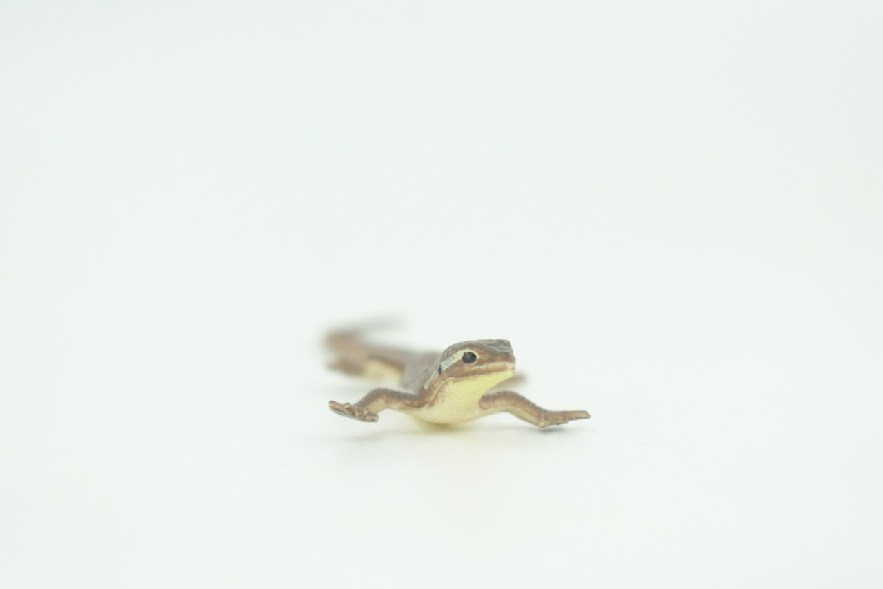 Common Grass Lizard, Educational, Hand Painted, Rubber Reptile, Museum Quality, Diorama, Toy, Kids, Gift,  4 Inches.  CH744 BB184 